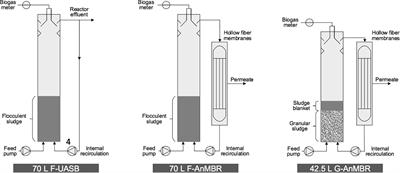 Hydrolysis and Methanogenesis in UASB-AnMBR Treating Municipal Wastewater Under Psychrophilic Conditions: Importance of Reactor Configuration and Inoculum